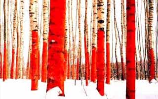Yuri Vasiliev. Russian Red