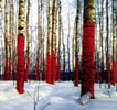 Yuri Vasiliev. Russian Red